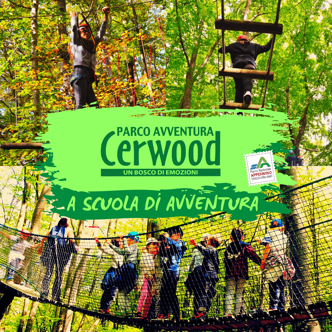 Gite scolastiche al Parco Avventura Cerwood Gite scolastiche al Parco Avventura Cerwood
