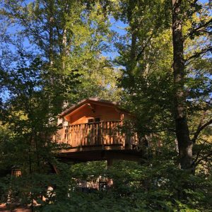 Tree House Experience