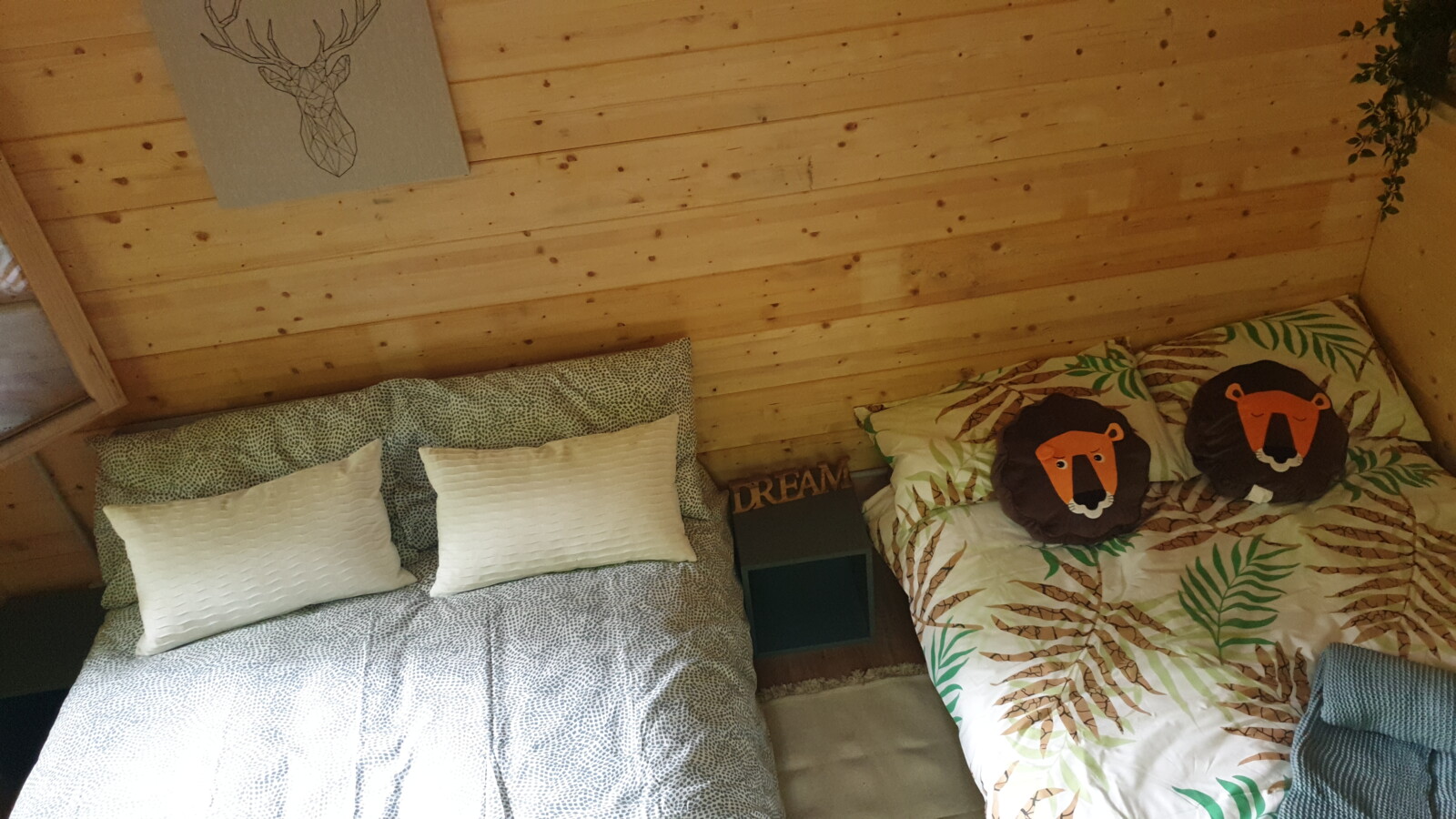 Tree House Experience Tree House Experience
