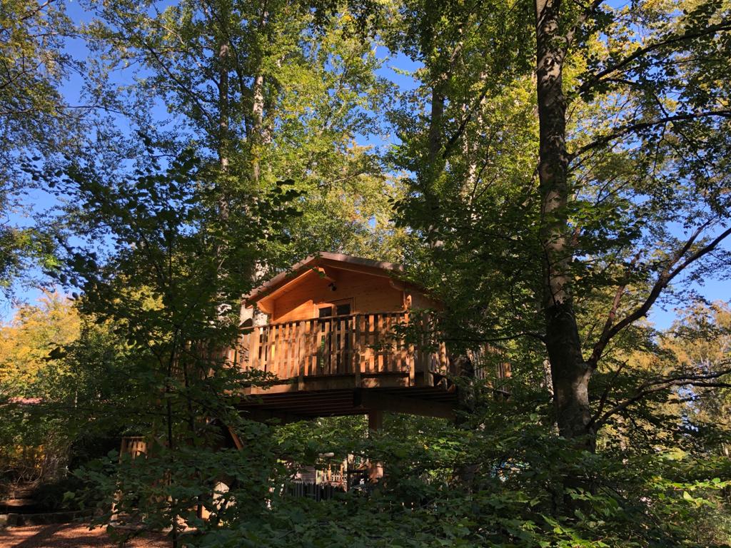 Cerwood Tree House Experience