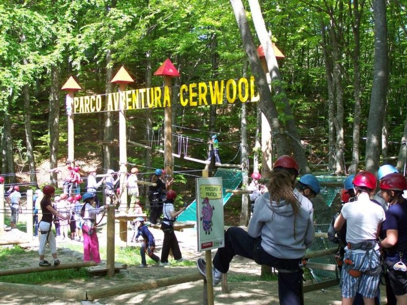 Il bosco delle emozioni Il bosco delle emozioni